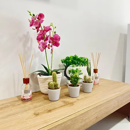 Apartment Cmcasevacanze *
